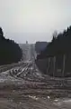 Kolonnenweg links neben dem Kontrollstreifen bei Elend, Dezember 1989