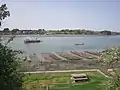 Austernbänke am Auray bei Baden