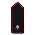 (Werk-)Brandmeister/-in