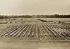 Studenten bei Freiübungen anlässlich der Einweihung des Hochschulsportplatzes bei Freimann (heute Areal der Studentenstadt Freimann) (27. Juni 1928)