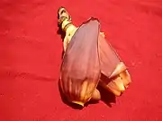 Bananenblüte