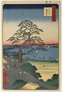18. Yoroikake-Kiefer am Hakkeizaka