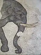 Elefant