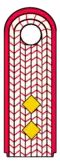 Oberbrandmeister/-in