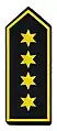 Leitende/r Branddirektor/-in (LtBrD)