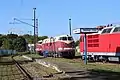 118 731 (Mitte), 118 578 (hinten) und 180 014 (rechts) im Eisenbahnmuseum Weimar