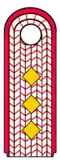 Hauptbrandmeister/-in