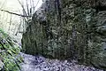 Felswand in der Schlucht