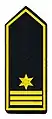 Brandrat als stellv. Leiter der Feuerwehr