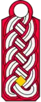 1. Stadtbrandmeister/-in