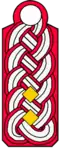 1. Kreisbrandmeister/-in