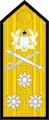 Dienstgradabzeichen eines Vice Admiral