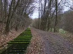 Döhlauer Graben bei Friedrichsthal, rechts im Talgrund die Warme Steinach