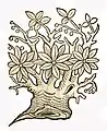 Hortus sanitatis 1491