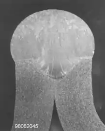 Bördelnaht an AlMg3 -  2 × 2,5 mm