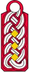 Landesbrandmeister/-in