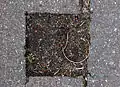 Entfernter Stolperstein für Friederike Matthaei (Heinestraße 25)