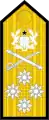 Dienstgradabzeichen eines Admiral
