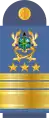 Dienstgradabzeichen eines Air Marshal