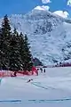 Das Gleitstück Langentrejen mit Blick auf die Jungfrau, 2019
