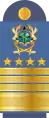 Dienstgradabzeichen eines Chief Air Marshal