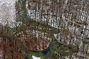 Moor im Totalreservat