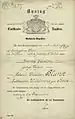 Geburtsurkunde (1869/1891), Auszug aus den Zivilstand Registern, der Freien und Hansestadt Hamburg