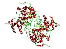 Lactalbumin (Bos taurus)