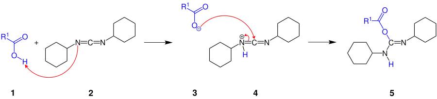 Teilschritt des Mechanismus der Steglich-Veresterung