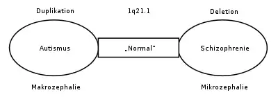 Relation in 1q21.1