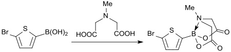 Synthese von 2-Bromthienyl-MIDA-Boronat