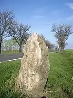 Der Feldpredigerstein