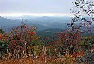 Blick über das Lausitzer Gebirge vom Hochwald