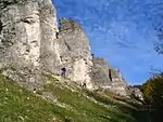 Eulenwand bei Tiefenellern, 49° 55′ 17,2″ N, 11° 4′ 58,5″ O49.92145555555611.082913888889