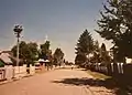 Măneuți