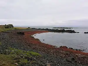 Húnaflói, Spitze der Halbinsel Vatnsnes
