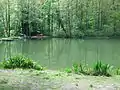 Fischteich im Braubachtal