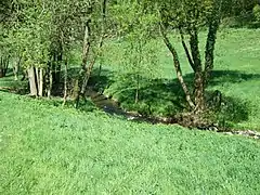 Der Reichenbach (hier auch Woogbach genannt)