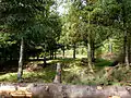Wp 10/12Steinturmstelle im Vorder-, Holzturmstelle im Hintergrund