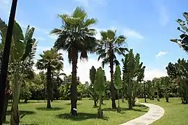 Da'an Park
