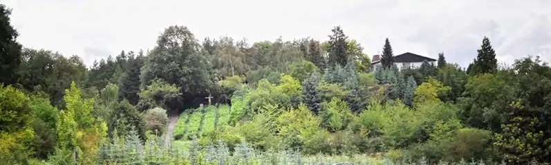 Vorgebirge (Villehang) bei Alfter,in der Bildmitte der „Segnende Christus“, rechts der „Heimatblick“