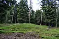 Abb. 18: Holzturmstelle(Zustand Juni 2012)