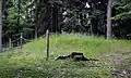 Abb. 20: Steinturmstelle(Zustand Juni 2012)