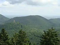 Föhrlenberg (östlicher Wasgau): Blick vom Rehberg