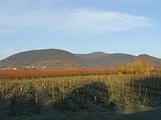 Haardtrand mit Blick zum Kalmitmassiv von der Rheinebene