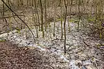 Auslauf der Rinne