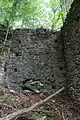 Burg Treffen (Kärnten)