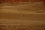 Sossusvlei mit Oryxantilope