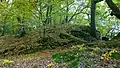Schmale Spornseite mit Halsgraben zum südlicheren Burgplateau und ehemals umlaufendem Wallgraben (Blick Ri. Osten)