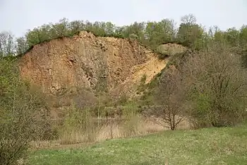 Blick in den ehemaligen Steinbruch im Dächelsberg